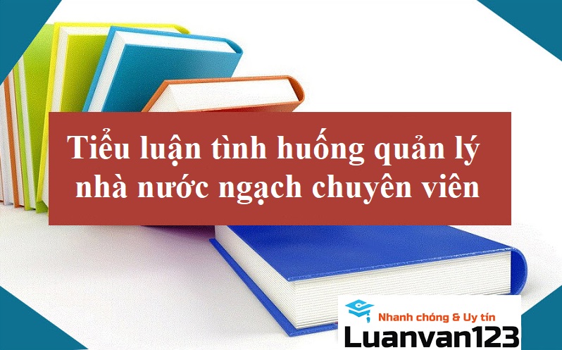 Hướng Dẫn Viết Tiểu Luận Tình Huống Quản Lý Nhà Nước Ngạch Chuyên Viên