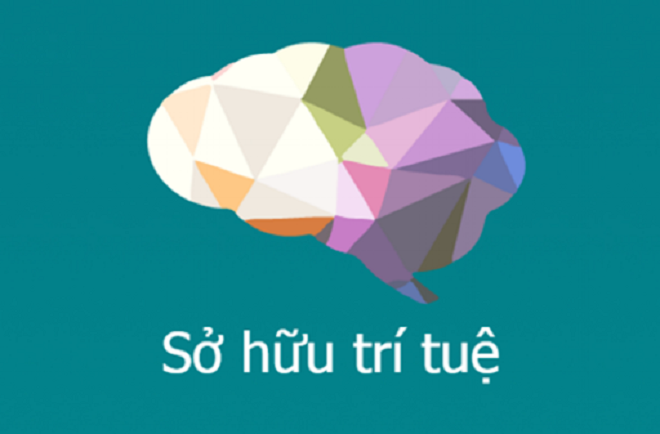 Tiểu Luận Luật Sở Hữu Trí Tuệ: Hướng Dẫn Toàn Diện Và Cập Nhật 2026