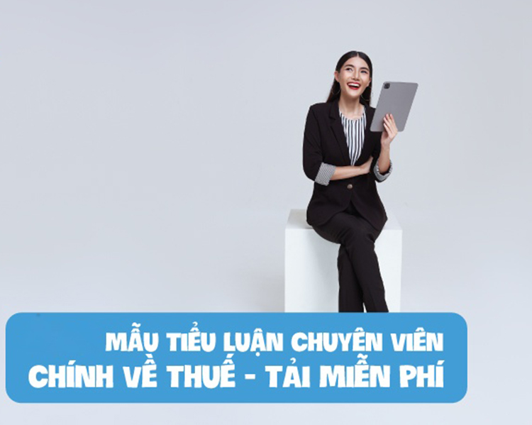 Tổng hợp tiểu luận chuyên viên chính về thuế – Phân tích và xử lý tình huống